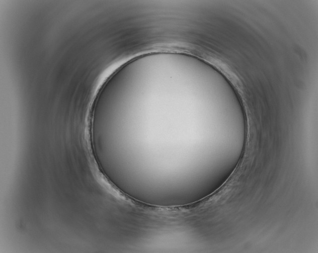 X0000112860960200908281601