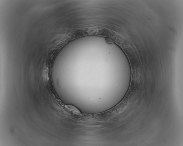 X0000112860962200908281600