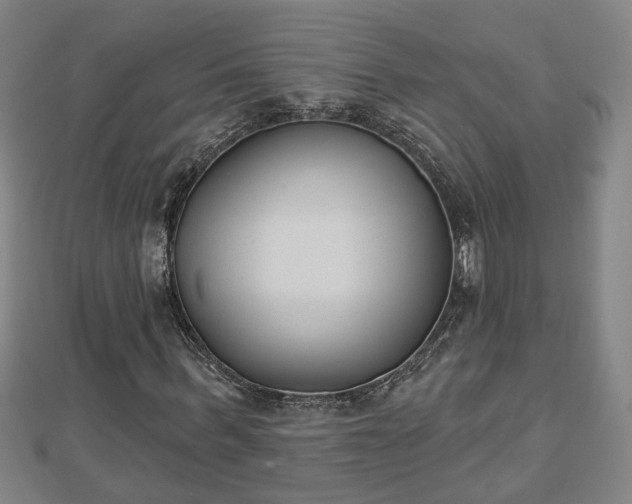 X0000112860963200908281600