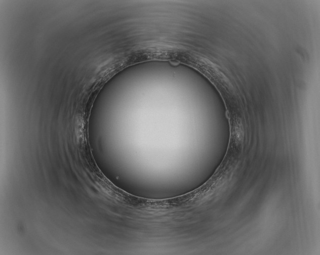 X0000112860964200908281600