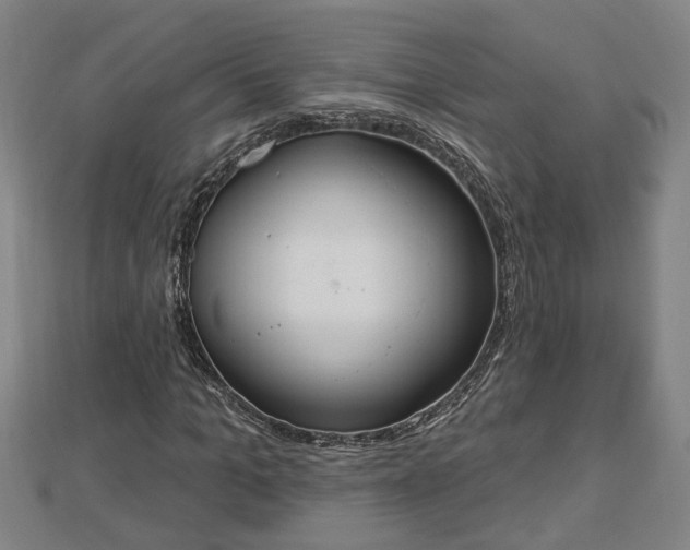 X0000112860965200908281600