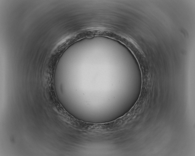 X0000112860967200908281600