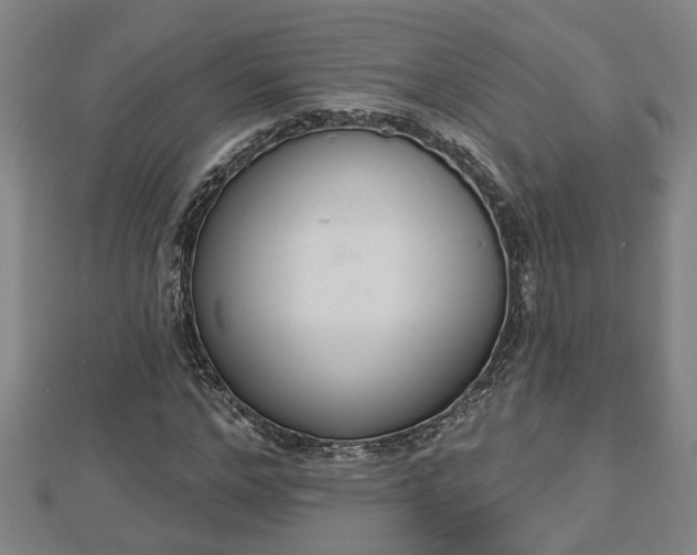 X0000112860968200908281600