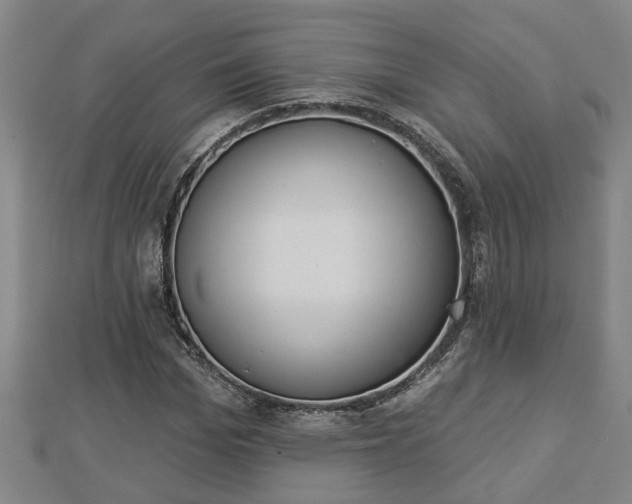 X0000112860969200908281600