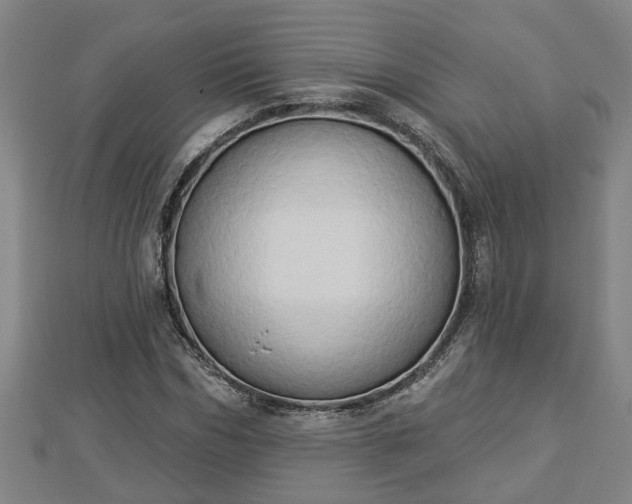 X0000112860970200908281600