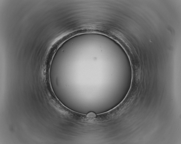 X0000112860971200908281600