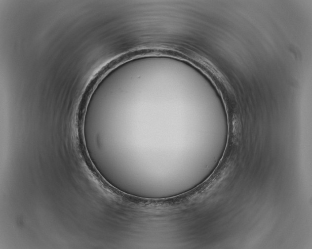 X0000112860972200908281600