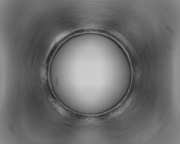 X0000112860974200908281600