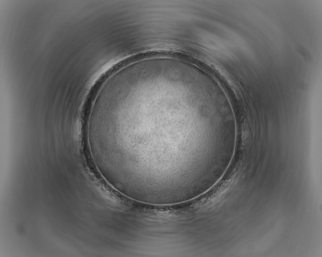X0000112860975200908281600