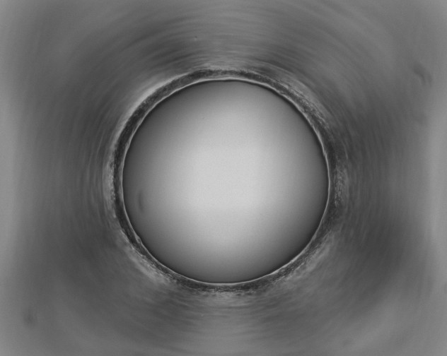 X0000112860976200908281600