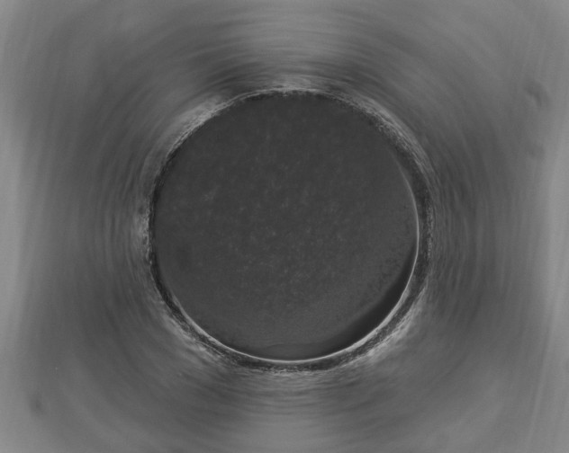 X0000112860977200908281600