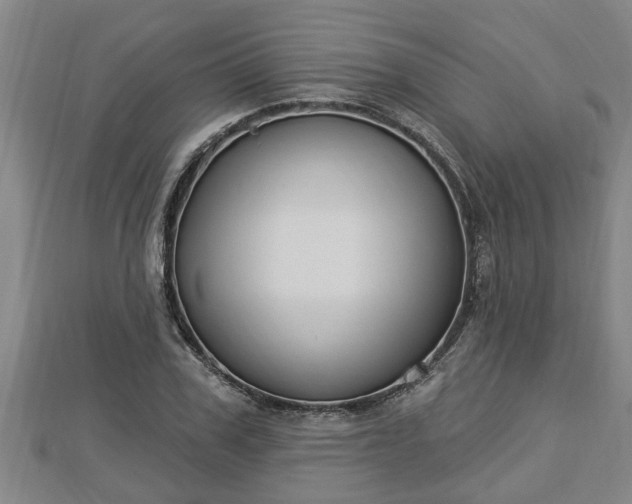 X0000112860979200908281600