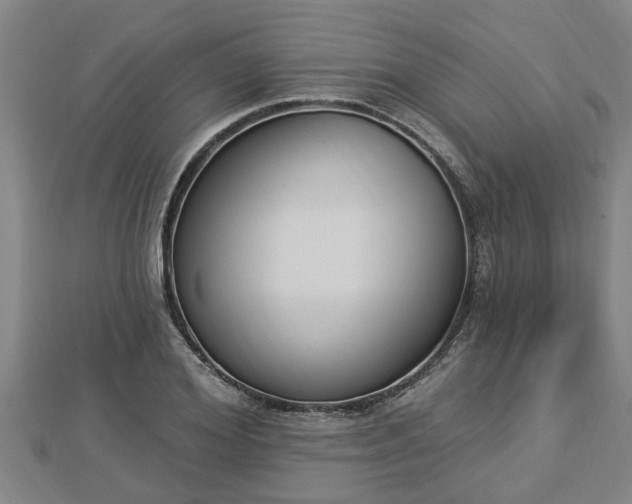 X0000112860980200908281600
