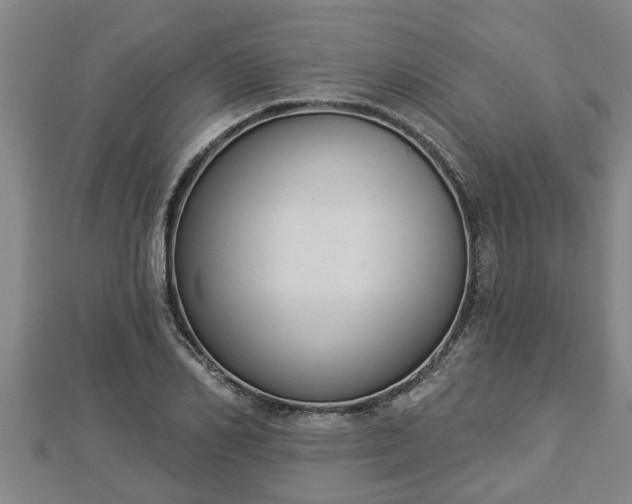 X0000112860982200908281600