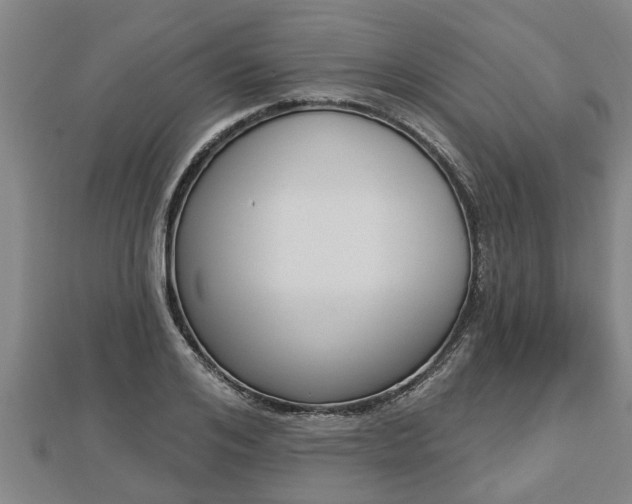 X0000112860984200908281600