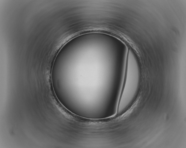 X0000112860985200908281600