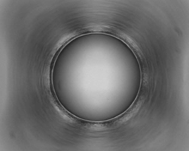 X0000112860986200908281600