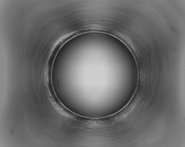 X0000112860987200908281600