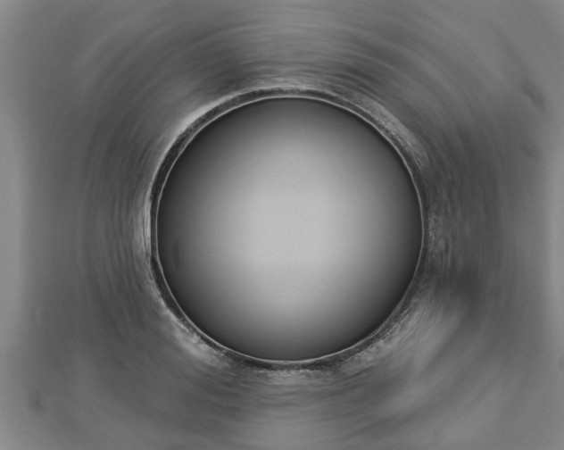 X0000112860988200908281600