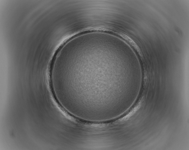 X0000112860989200908281600