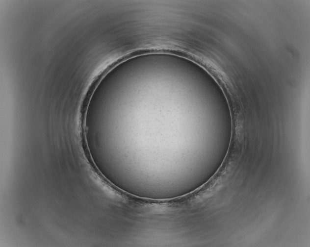 X0000112860990200908281600