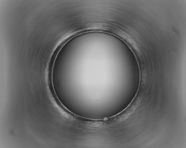 X0000112860991200908281600