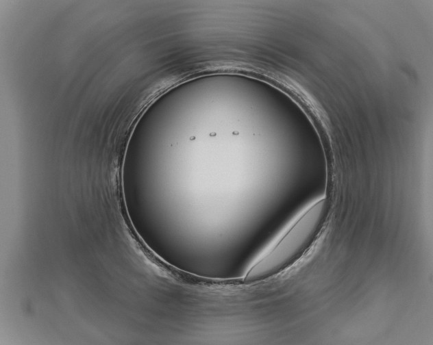X0000112860993200908281600