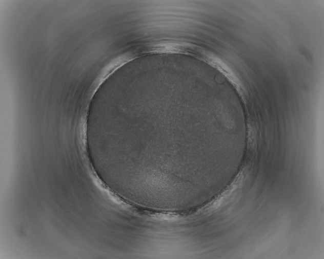 X0000112860994200908281600
