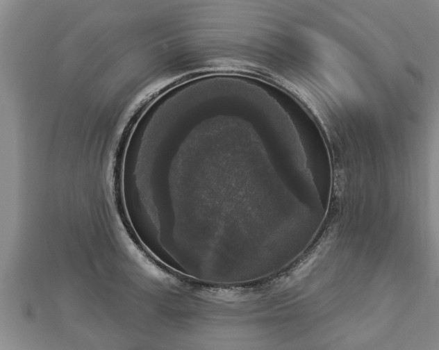 X0000112860995200908281600