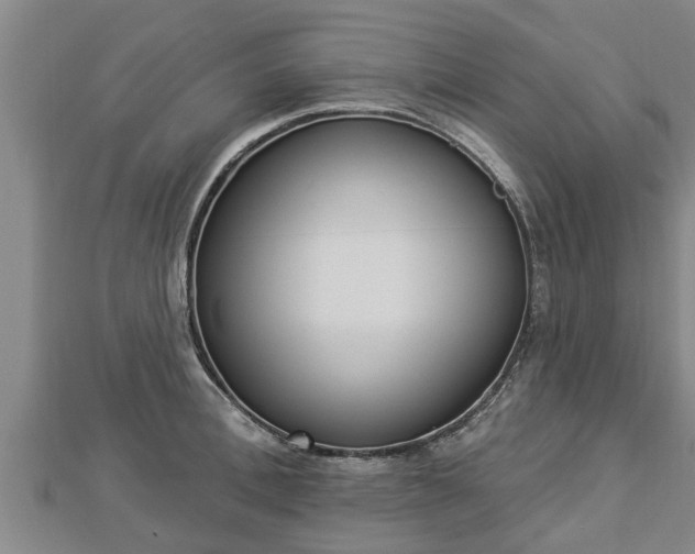X0000112860996200908281600