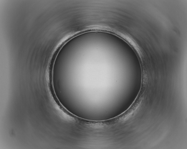 X0000112860999200908281600