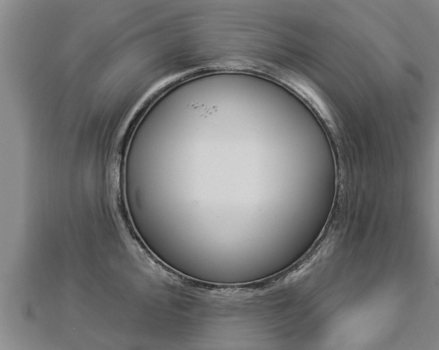 X0000112861000200908281600
