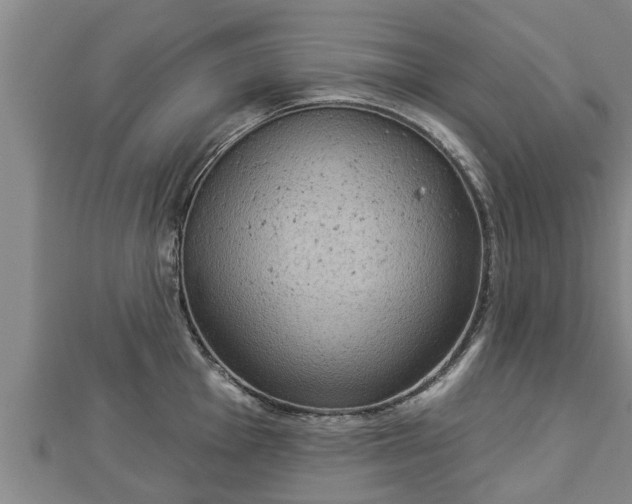 X0000112861001200908281600