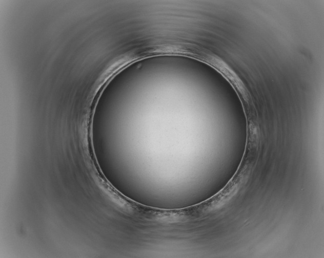 X0000112861002200908281600