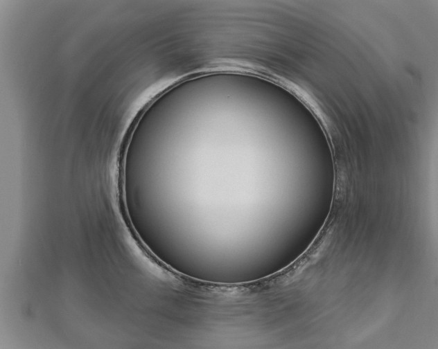 X0000112861003200908281600