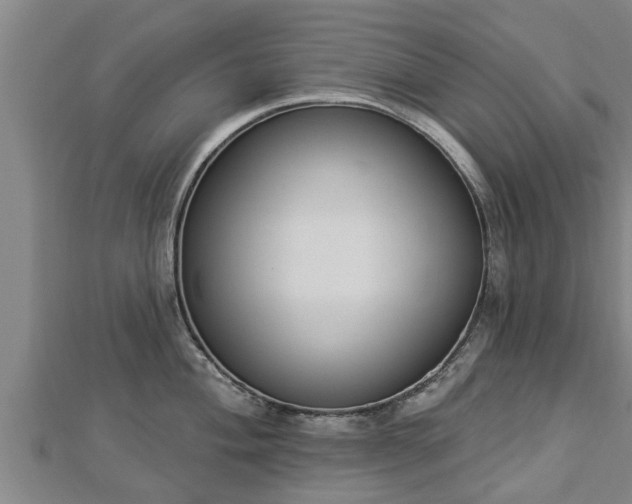 X0000112861004200908281600