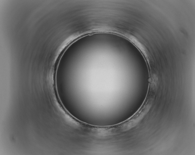 X0000112861005200908281600