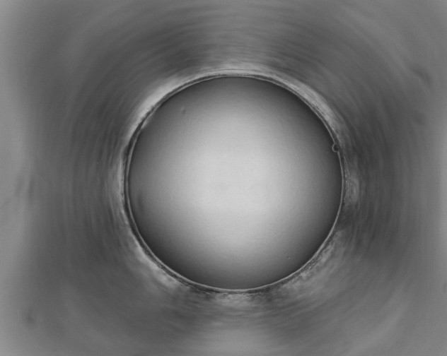 X0000112861006200908281600