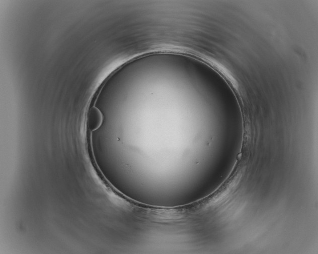 X0000112861007200908281559