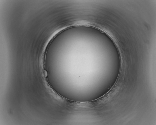 X0000112861008200908281559