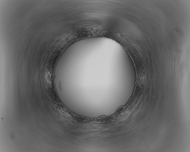 X0000112861010200908281559
