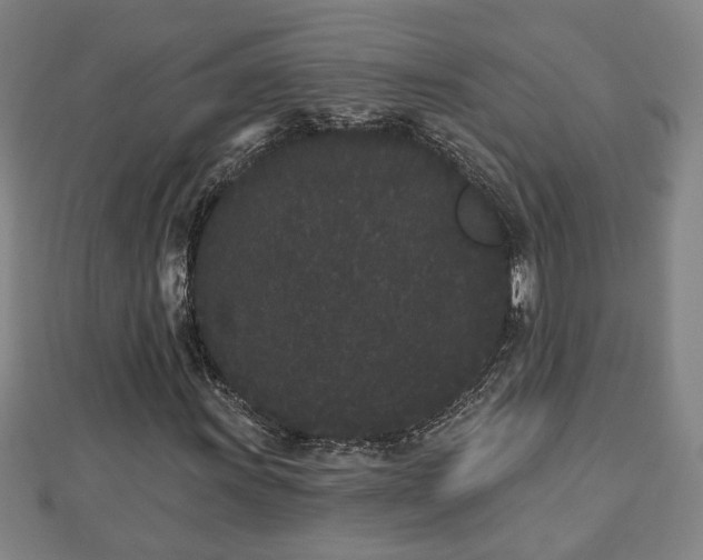 X0000112861011200908281559