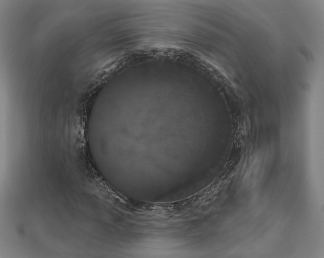 X0000112861013200908281559