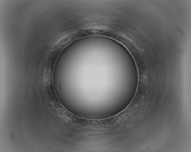 X0000112861014200908281559