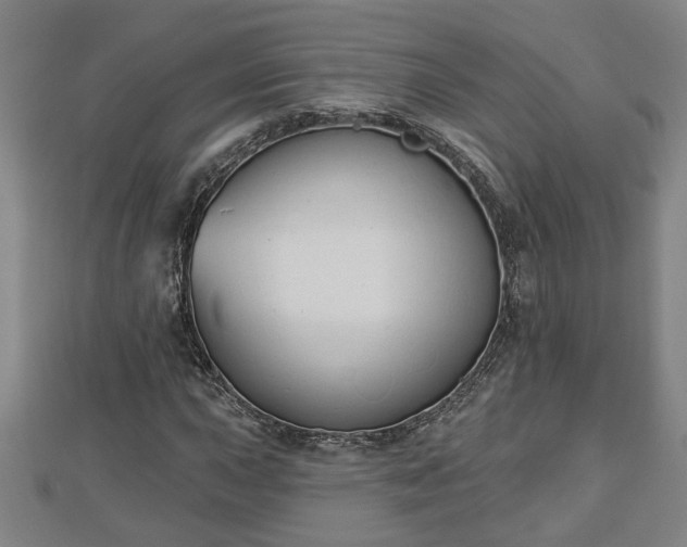 X0000112861015200908281559