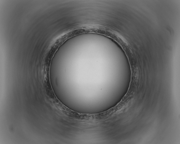 X0000112861016200908281559