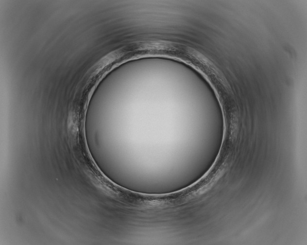 X0000112861017200908281559