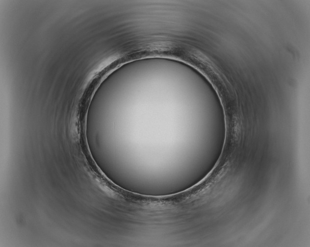 X0000112861018200908281559