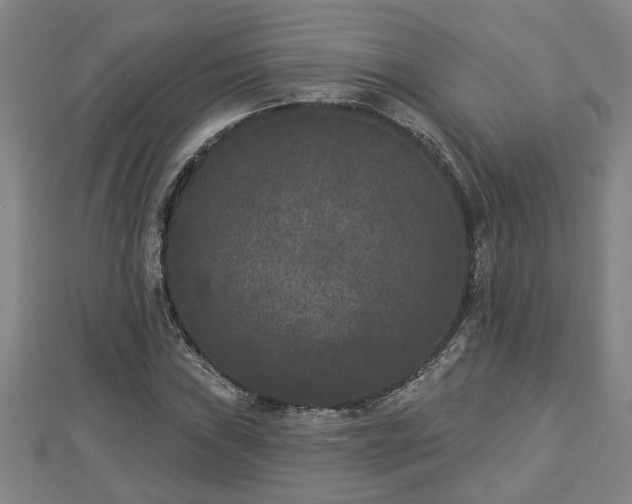 X0000112861019200908281559