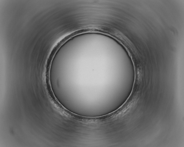 X0000112861020200908281559